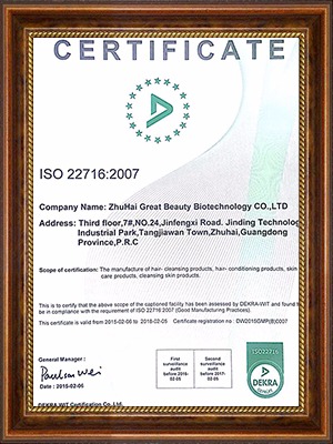 ISO 22716 2007